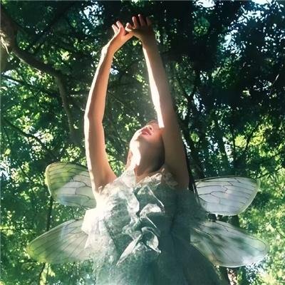 情绪料理第二季